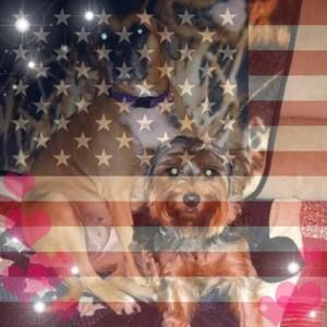 Meet your Posher, Fay